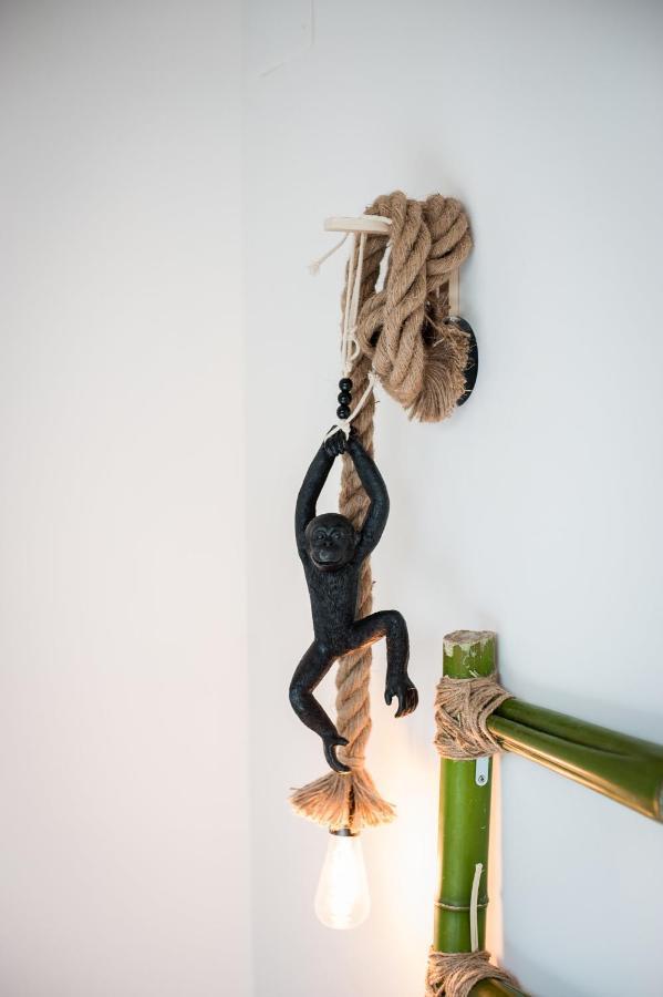 Apartament Douce Parenthese A Carcassonne Zewnętrze zdjęcie