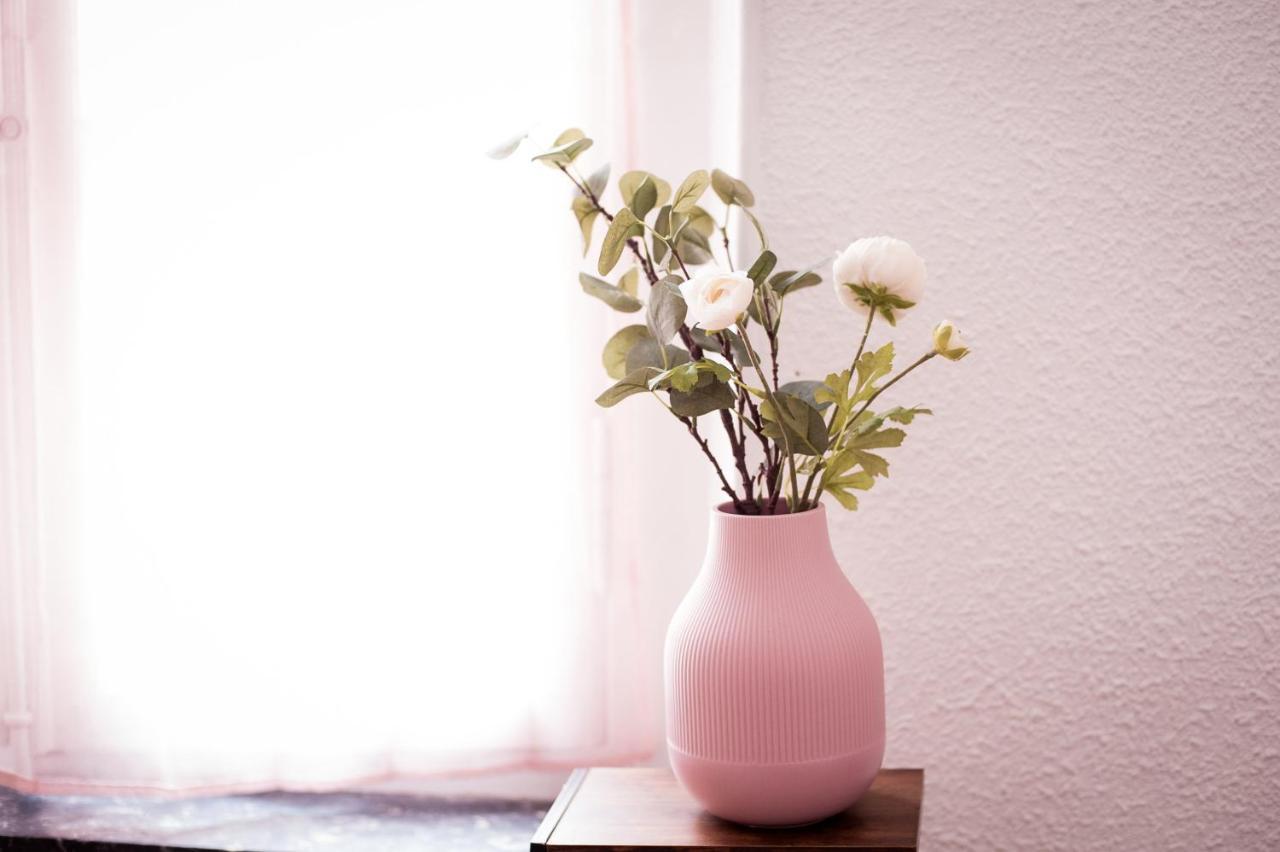 Apartament Douce Parenthese A Carcassonne Zewnętrze zdjęcie